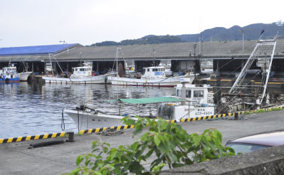 知柄漁港