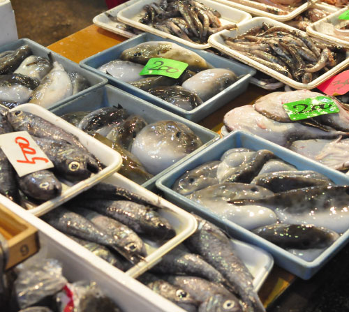 深海魚イメージ