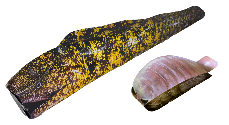 超ウツボサブレと超グソクムシ煎餅